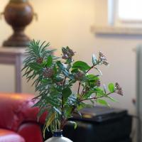 SOL9 Deux mains la terre poterie marc zommer photographies 10