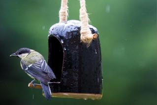 Deux mains la terre poterie oiseaux marc zommer photographies 6 copie